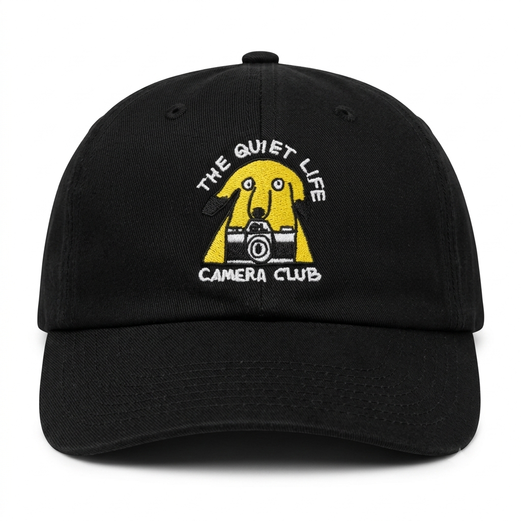 THE QUIET LIFE DAD CAP CAMERA
