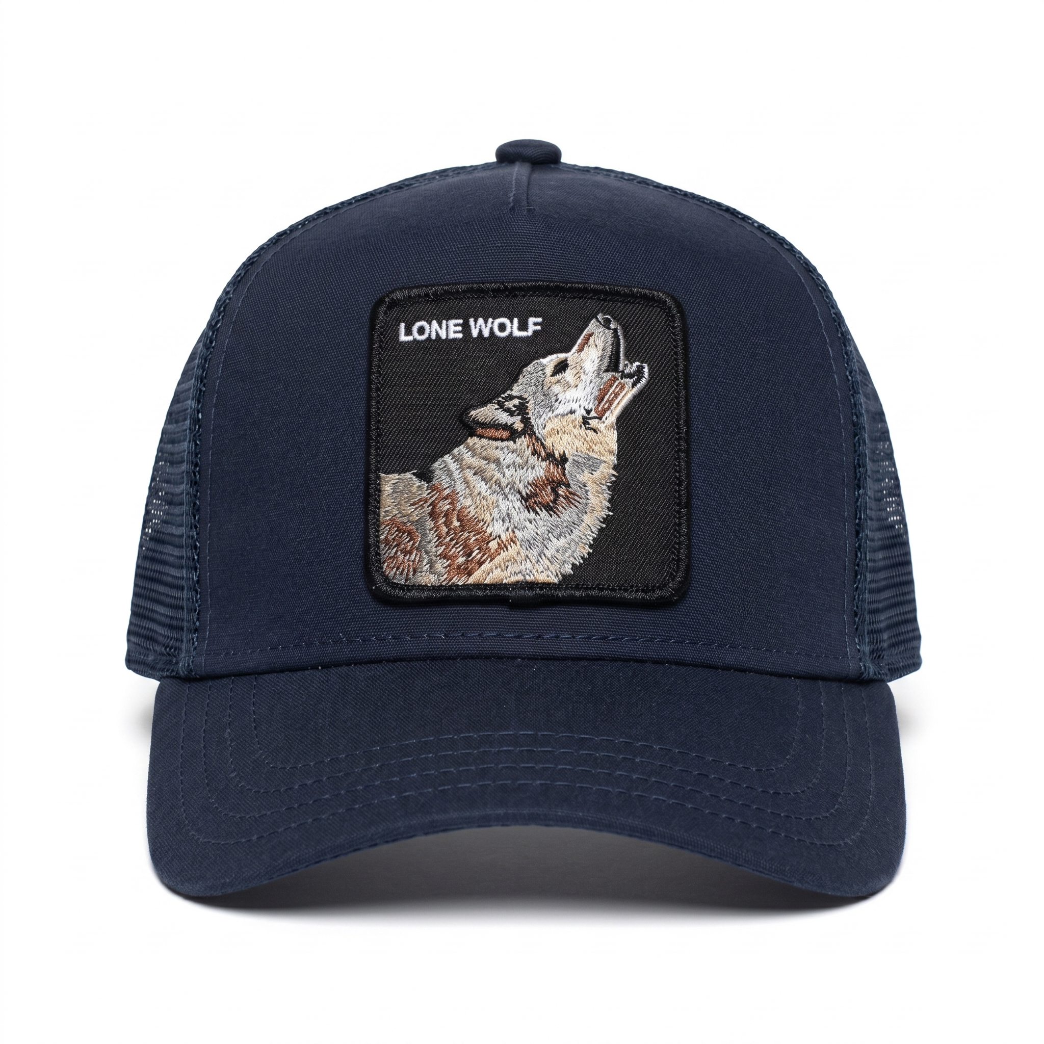 BASEBALL THE LONE WOLF