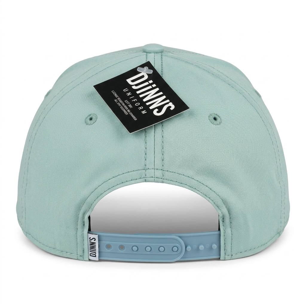SNAPBACK SUPER TWILL MINT/WHITE
