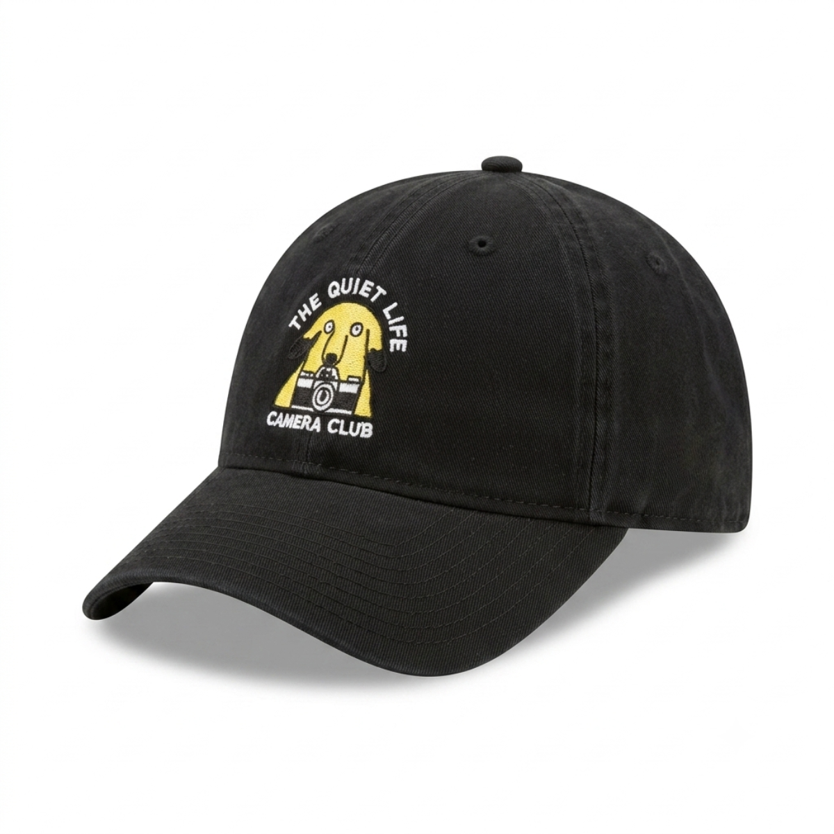 THE QUIET LIFE DAD CAP CAMERA