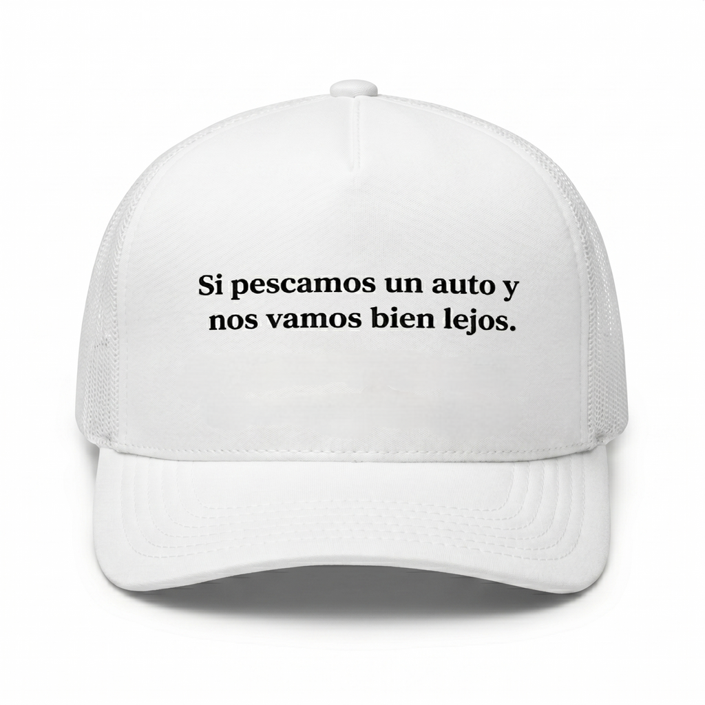 SI PESCAMOS UN AUTO