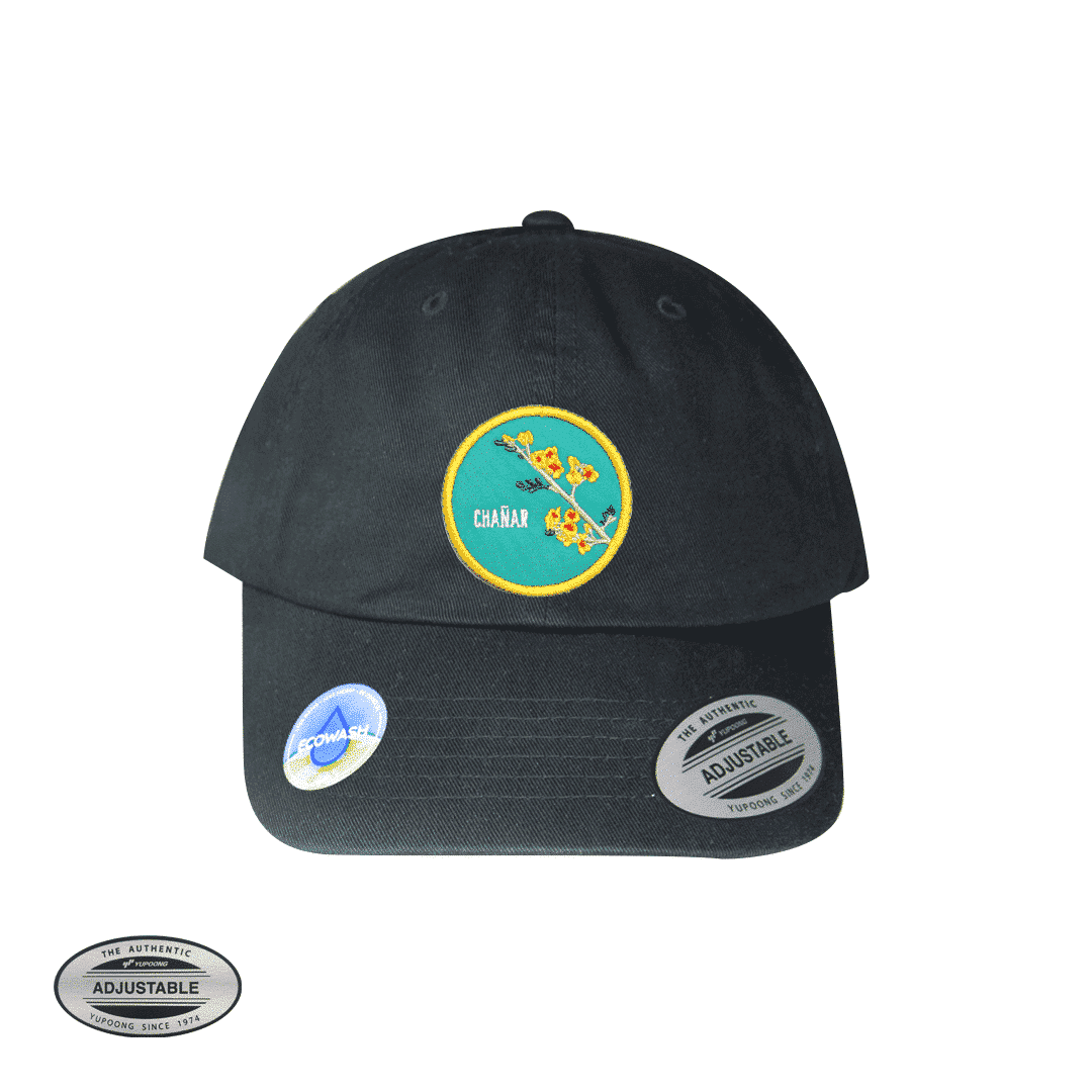 6245EC Chañar YP Classics Ecowash Dad Cap Black